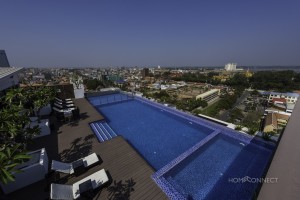 Modern 1 bedroom luxury apartment in Daun Penh