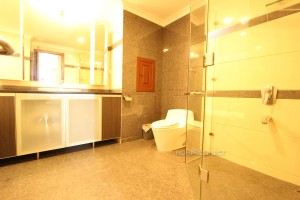 Luxurious 2 bedroom apartment in Toul Kork