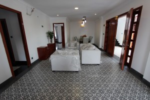 Attractive 3 apartment in Tonle Bassac