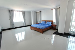 Attractive 3 apartment in Tonle Bassac