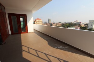 Attractive 3 apartment in Tonle Bassac