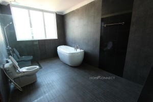 Attractive 3 apartment in Tonle Bassac