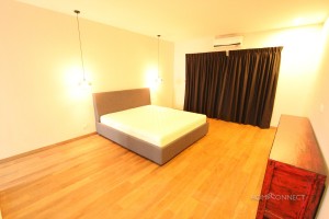 Newly renovated 3 bedroom in Daun Penh | Phnom Penh