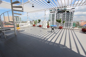 Modern Western 1 Bedroom Penthouse In BKK1 | Phnom Penh Real Estate
