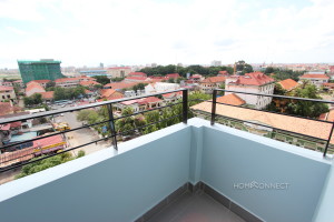 Pleasant Apartment Near the Historic Wat Phnom | Phnom Penh Real Estate