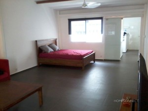 Large Terrace 1 Bedroom Apartment Near Central Market | Phnom Penh Real Estate