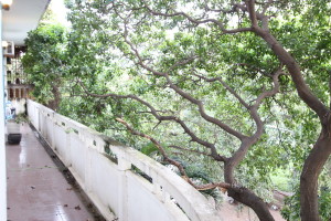 Colonial 3 Bedroom Apartment Near National Museum | Phnom Penh Real Estate