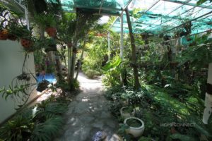 Swiss Designed 6 Bedroom Villa With Pool For Rent | Phnom Penh Real Estate